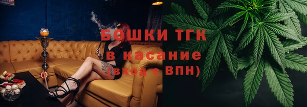 дмт Бородино