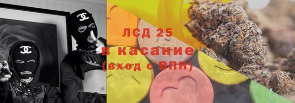 дмт Бородино