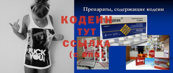 дмт Бородино