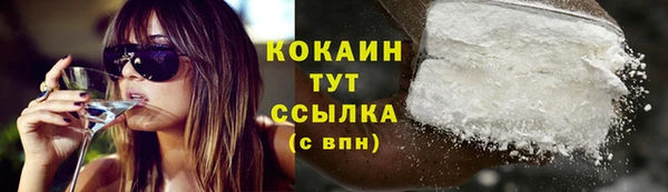 дмт Бородино