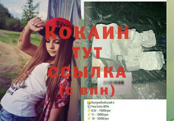 дмт Бородино