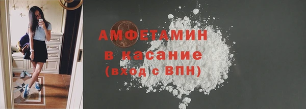 дмт Бородино