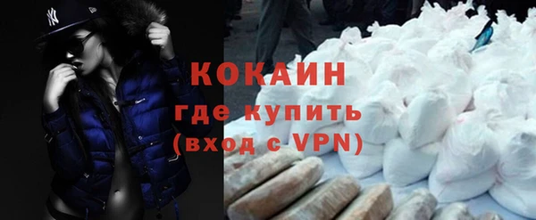 дмт Бородино