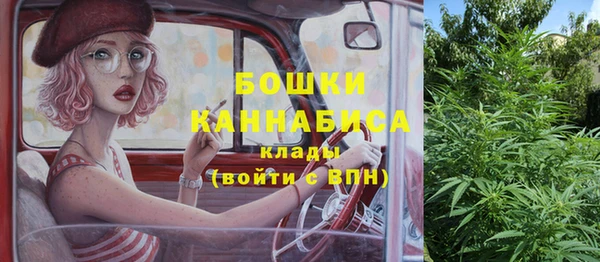 дмт Бородино