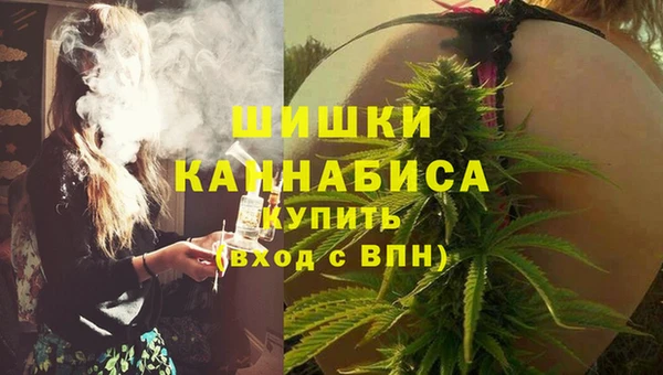 дмт Бородино