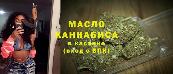 дмт Бородино
