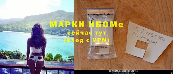 дмт Бородино