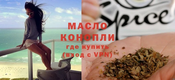 дмт Бородино