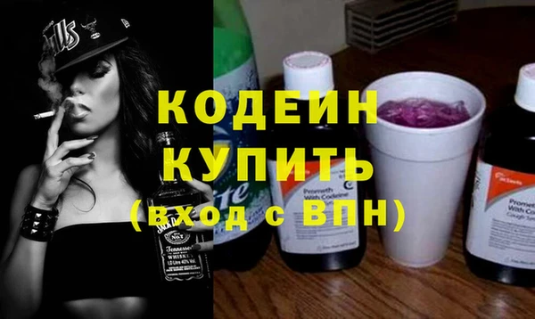 дмт Бородино