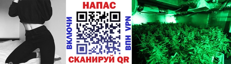 Бошки Шишки VHQ  где купить   Гремячинск 